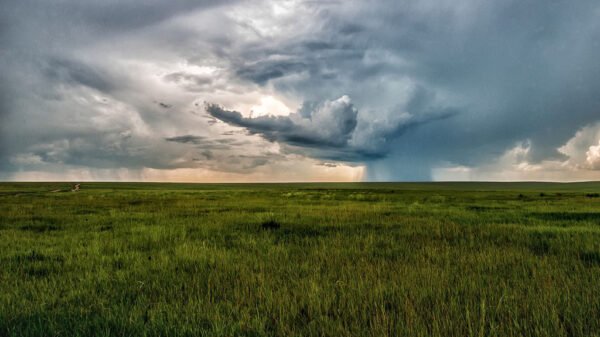 se-esperan-precipitaciones-sobre-el-sudoeste-y-nordeste-del-area-agricola