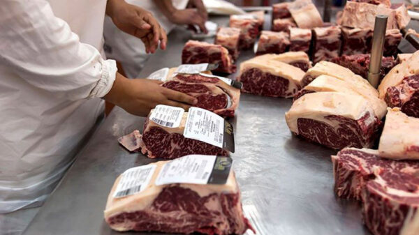 en-las-cadenas-del-agro,-la-carne-vacuna-se-sube-al-podio-mas-alto-generando-12.3%-del-empleo