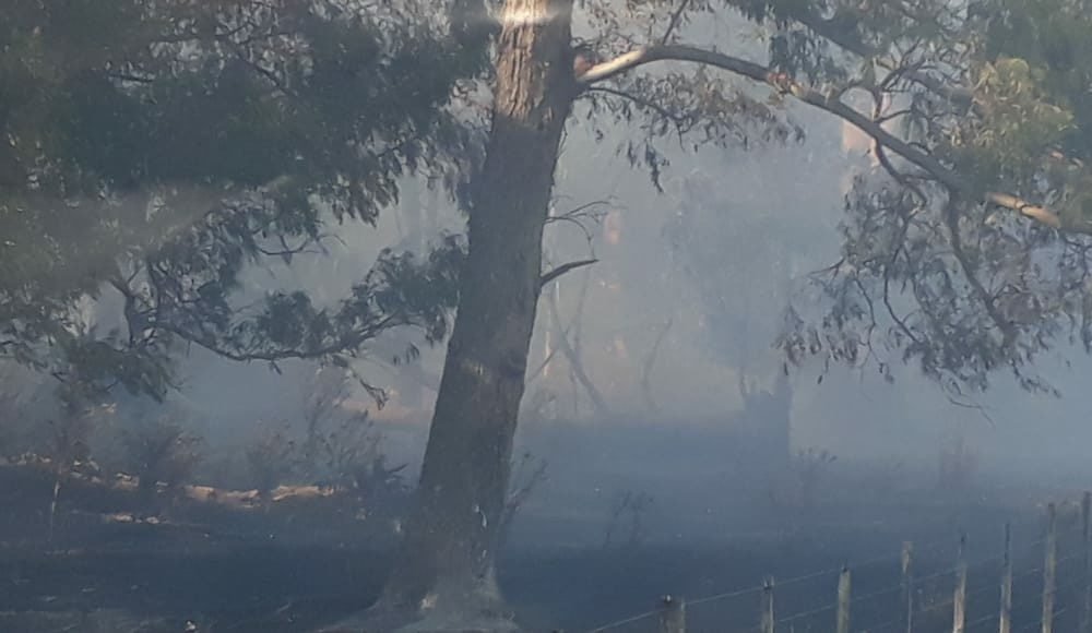 Bomberos aún combate un voraz incendio que lleva más de 18 horas