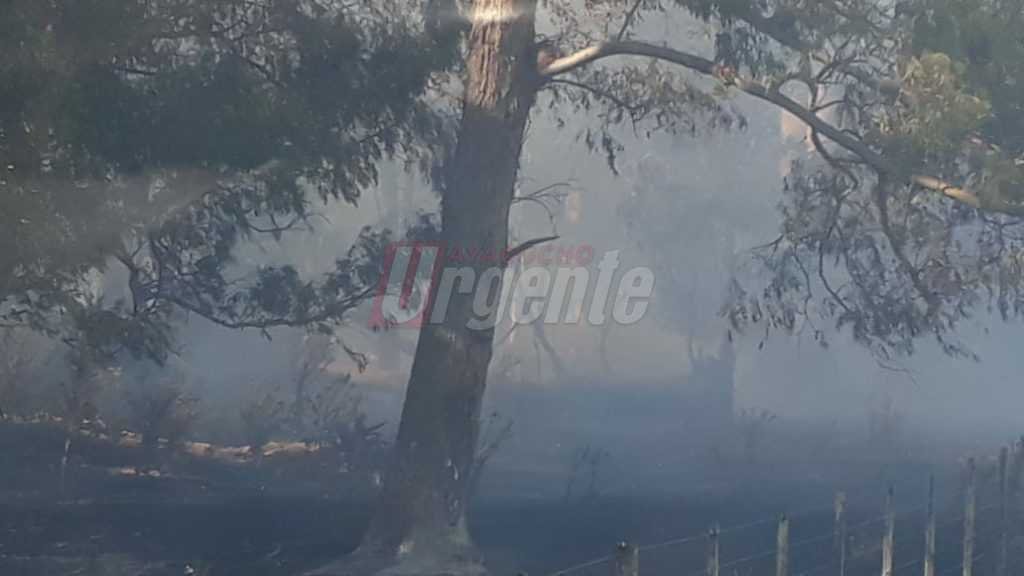 Bomberos aún combate un voraz incendio que lleva más de 18 horas