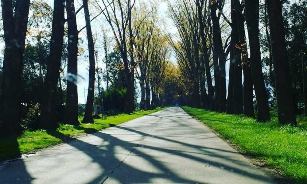 ¿Como será el clima este fin de semana?