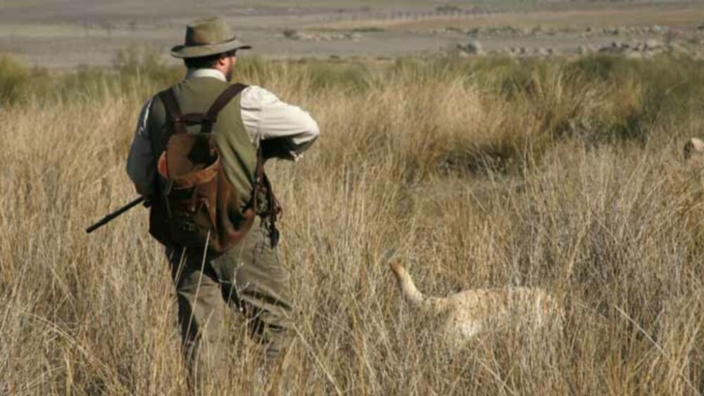 A raíz de la Pandemia del COVID-19, no se permitirá la temporada de caza menor