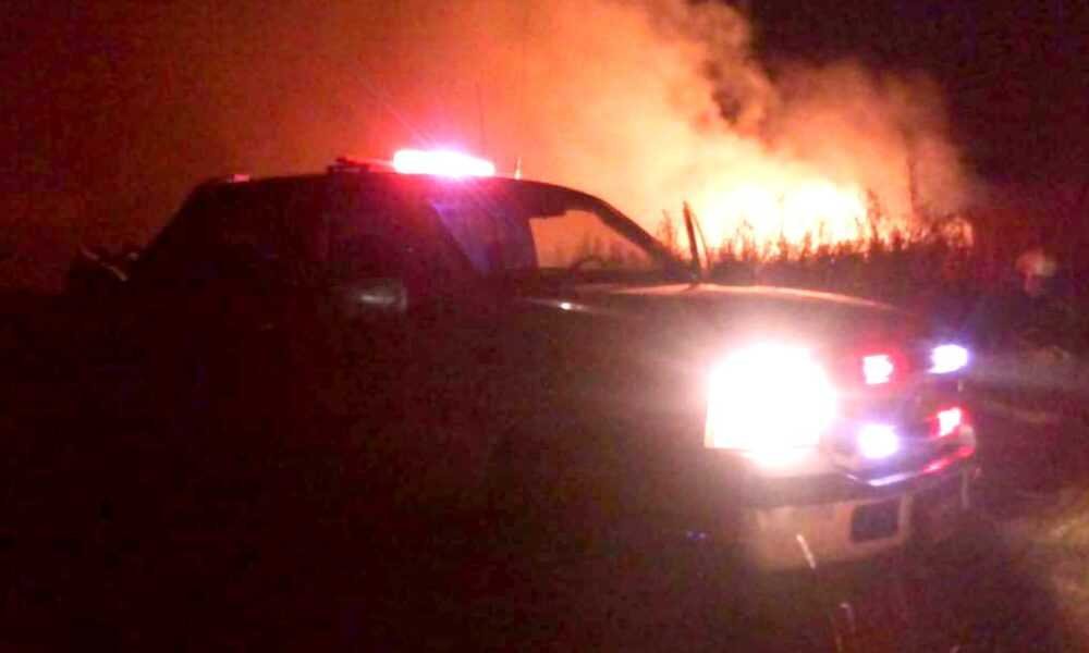 Bomberos trabajó durante toda la noche en un incendio forestal