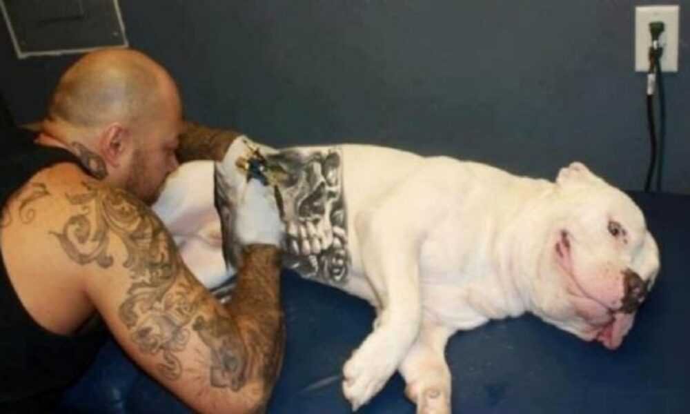Polémica por una nueva moda: tatuar perros