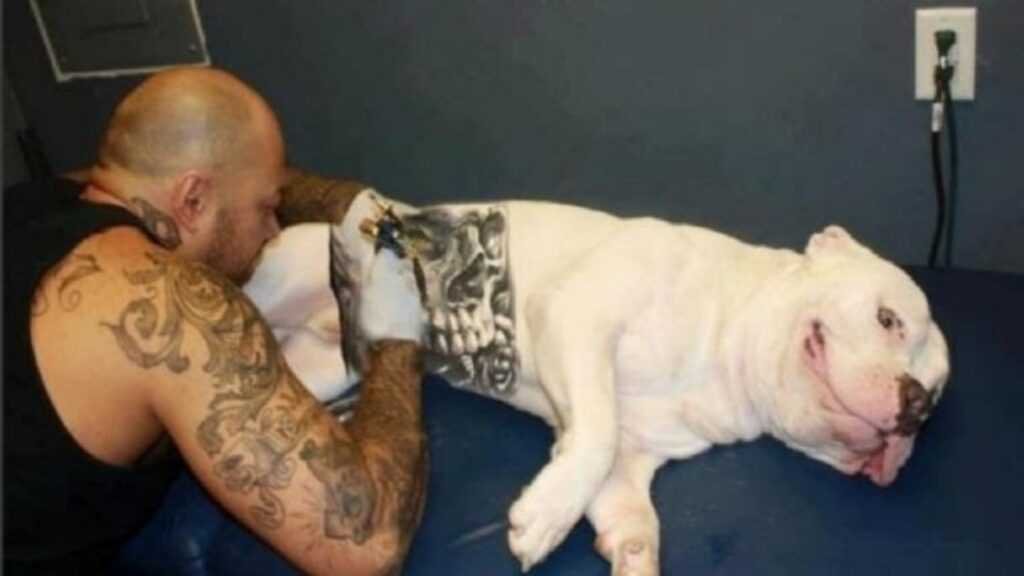 Polémica por una nueva moda: tatuar perros