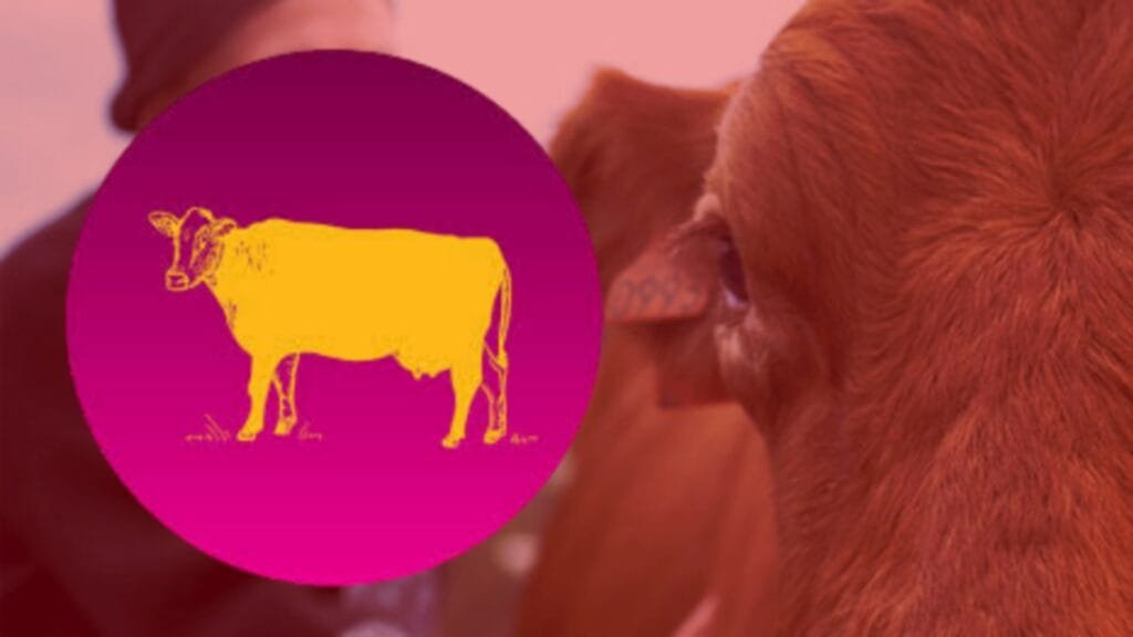 Cine Rural: Se aproxima una nueva edición del Festival Nacional de Cine Rural