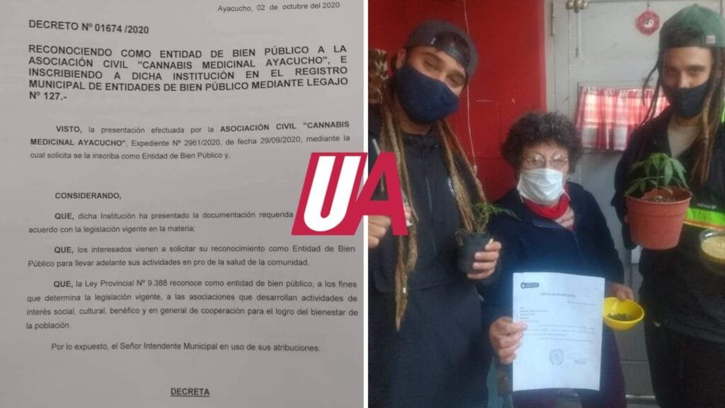 Cannabis medicinal Ayacucho ya es reconocida como bien público