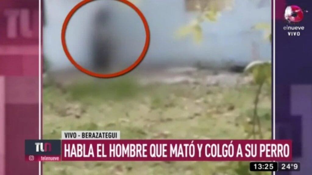 “La realidad es que yo colgué al perro”: confesó que mató a su mascota y criticó a sus vecinos por exponerlo en las redes