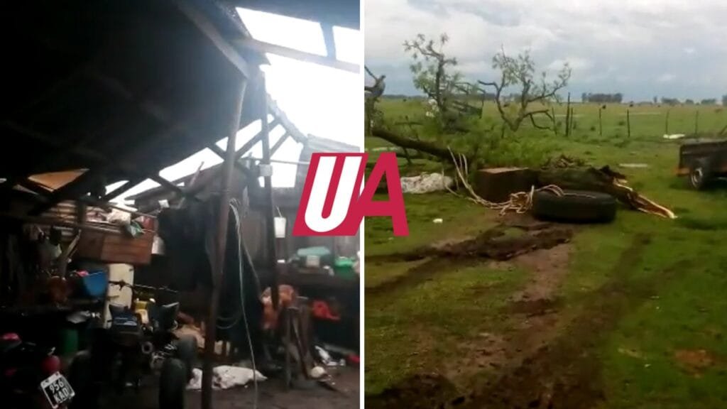 El fuerte temporal generó daños en un campo de Ayacucho