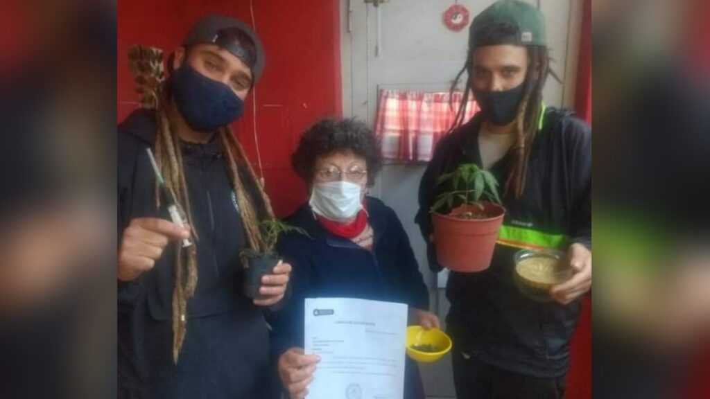 Cannabis Medicinal: Cada vez mas cerca de la regulación local