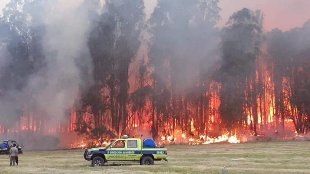 Tandil: A raíz de un voraz incendio, debieron evacuar un Hotel
