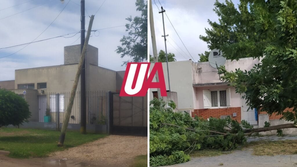 Alerta naranja: Más de 15 llamados por caídas de árboles y tendidos eléctricos