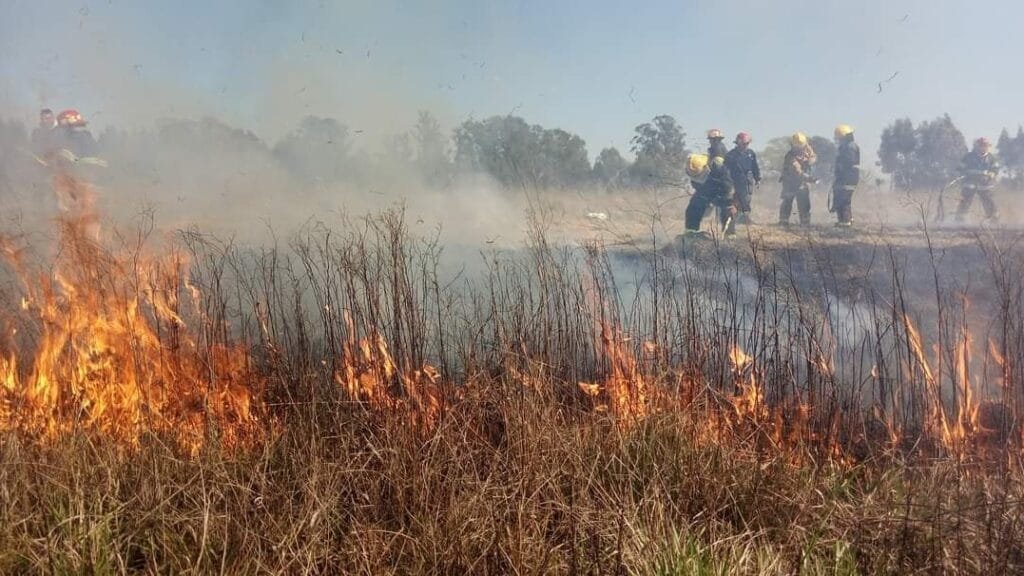 Alerta máxima ante posibles incendios forestales