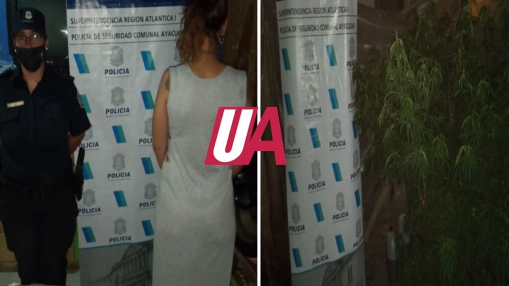 Le allanaron la casa por un robo y le encontraron 26 plantas de marihuana