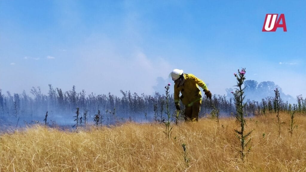 Bomberos trabajó en un importante incendio de pastizales
