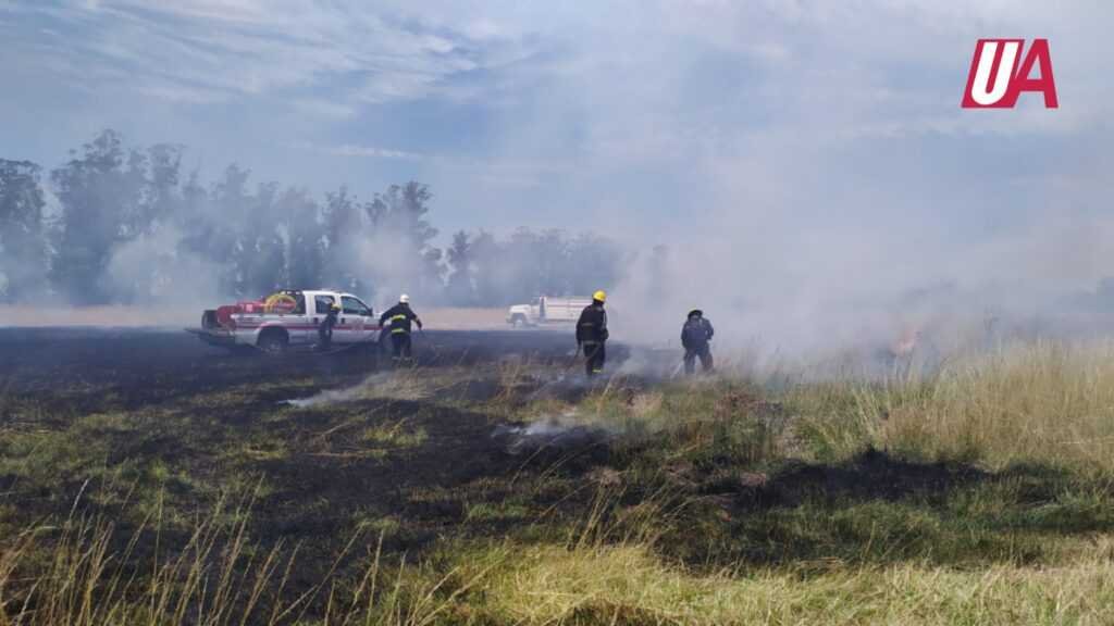 Un incendio se desató detrás de la fábrica de helados