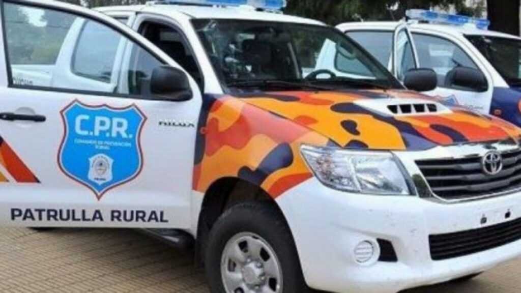 Un vehículo despistó en Ruta 29 y 50
