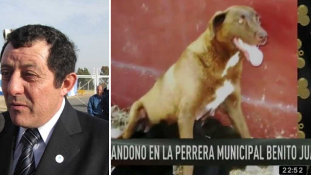 Benito Juárez: El Intendente tuvo que salir a desmentir que la perrera local se encuentra en malas condiciones