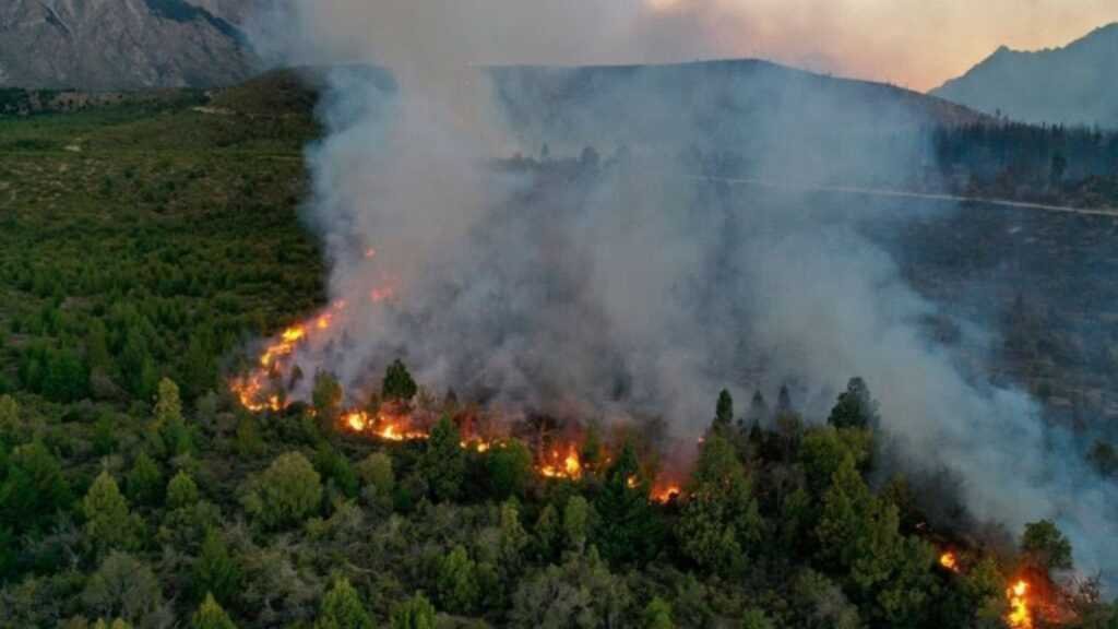 El Bolsón: imputan a 6 turistas por el asado que causó el incendio forestal