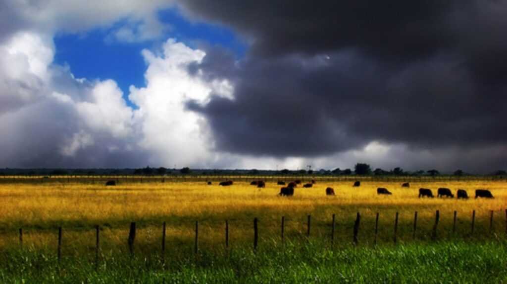 ¿Como estará el clima en Ayacucho para los próximos días?