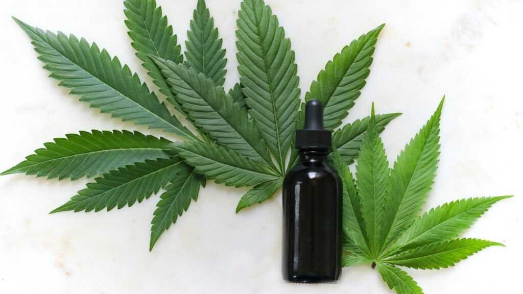 La ANMAT permitirá la importación de productos derivados del cannabis para uso medicinal
