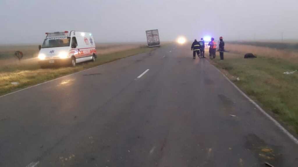 ¡Pudo ser una tragedia! Dos camiones embistieron a varios animales sueltos sobre la ruta