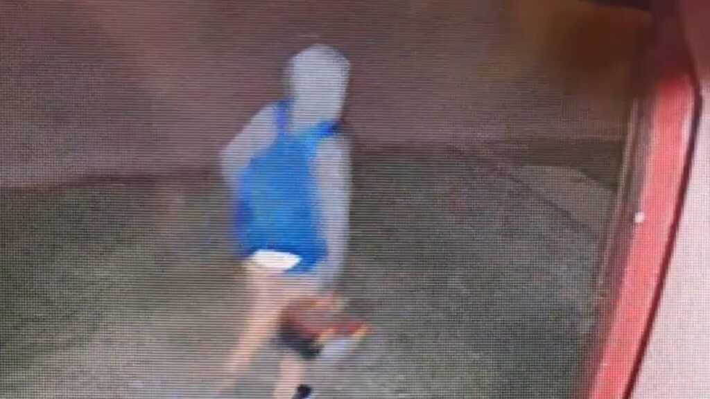 Se robo una caja de herramientas y quedó filmado por cámaras de seguridad