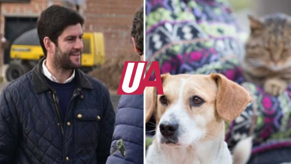 Vecinos le solicitan a Cordonnier que habilite más castraciones