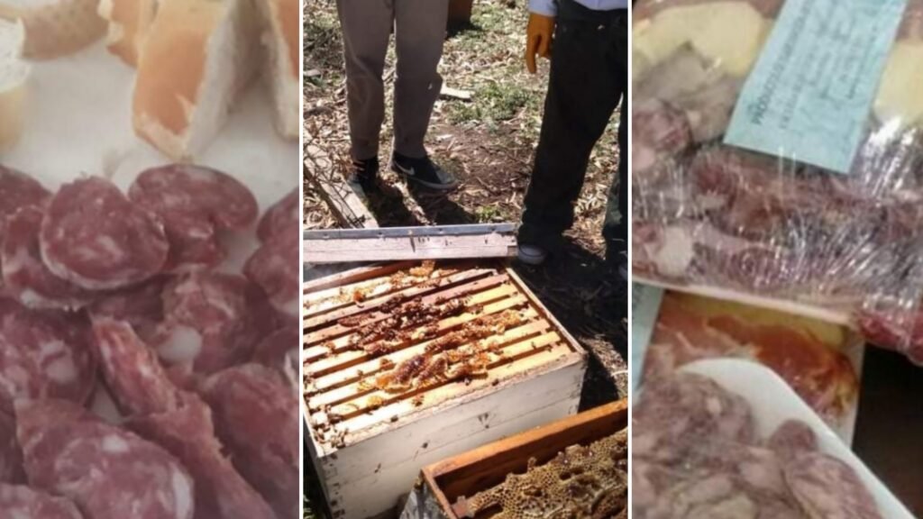 ¡Un gran avance! La Escuela Agraria de Ayacucho podrá vender sus productos en todo el país