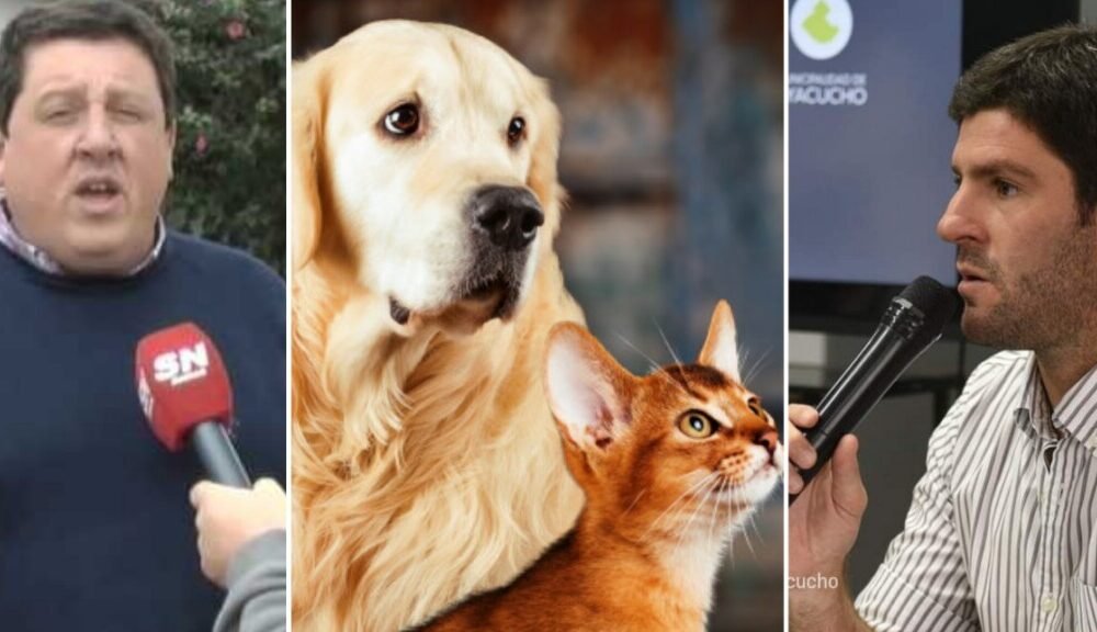 Ofrecieron soluciones para castrar mascotas, pero el Municipio no dio respuestas