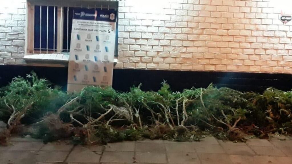 Muere un hombre al tocar un cerco electrificado con el que protegía plantas de marihuana