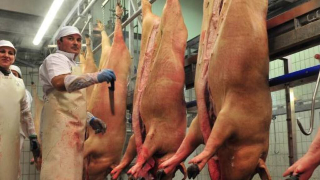 Exportación en pausa: Incertidumbre en el frigorífico de Ayacucho ante las medidas nacionales