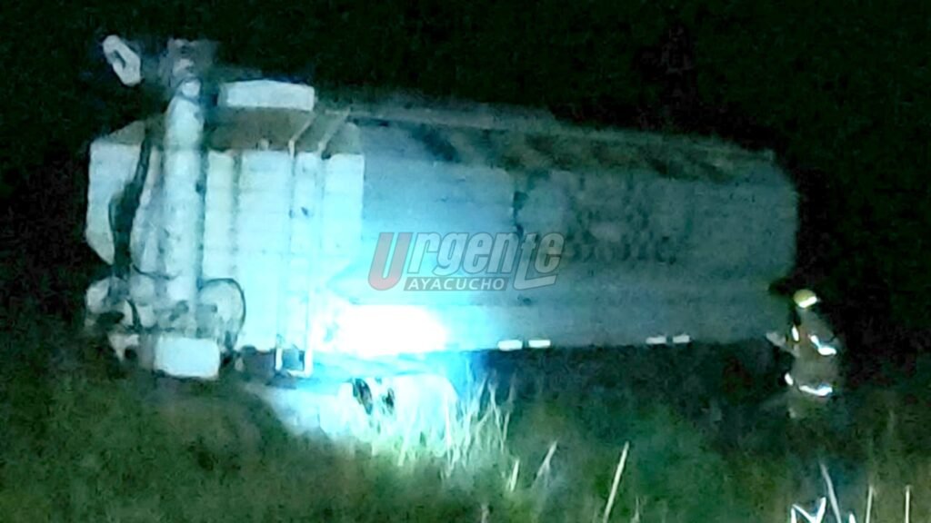 Un camión despistó en Ruta 29