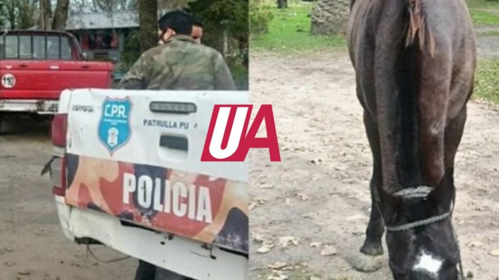 En pocos días secuestraron varios caballos sueltos en la vía pública