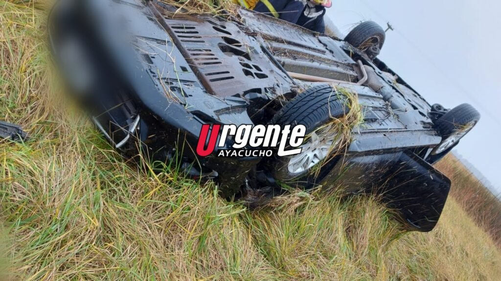 Un vehículo volcó en Ruta 29