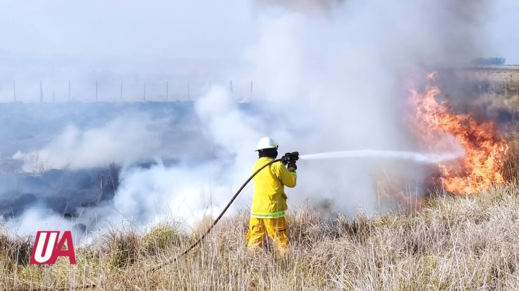 Varias dotaciones trabajan en varios incendios en Ruta 50