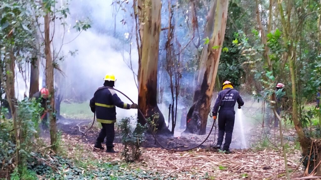 Bomberos trabajó en un incendio en un monte