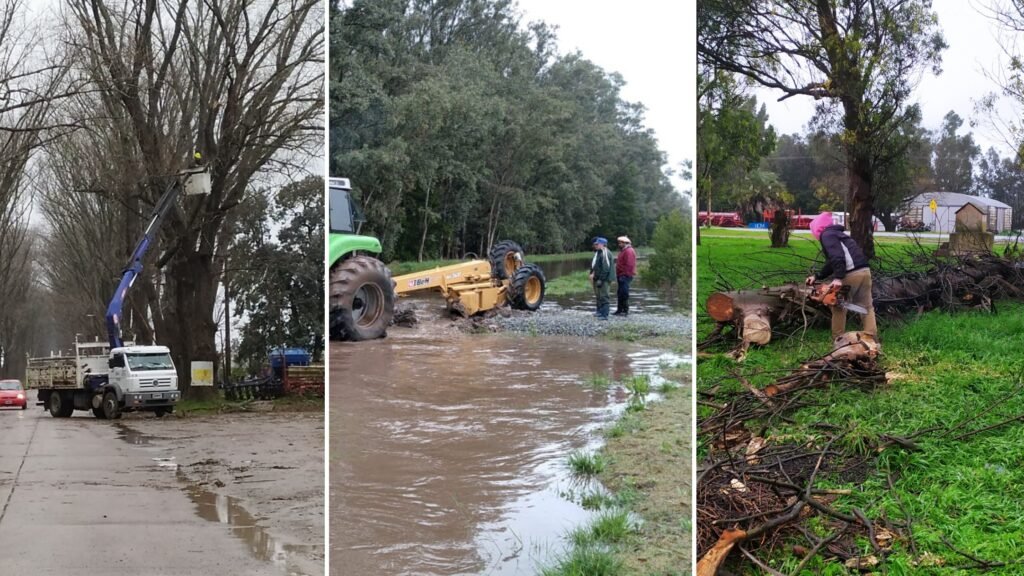 Lo que dejó el fuerte temporal: la situación ya está controlada