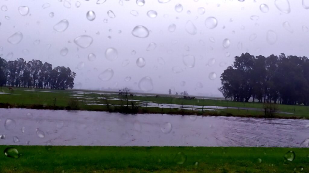 Continúa la alerta por fuertes vientos en Ayacucho