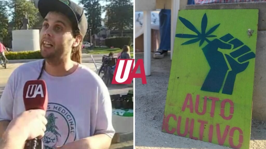 Ayacucho también se plantó: Reclamaron libertad para los presos por cannabis