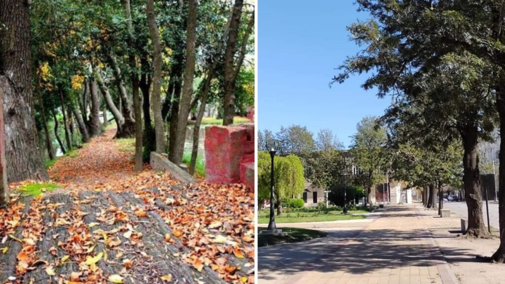 ¿Cómo estará el clima para este fin de semana largo?
