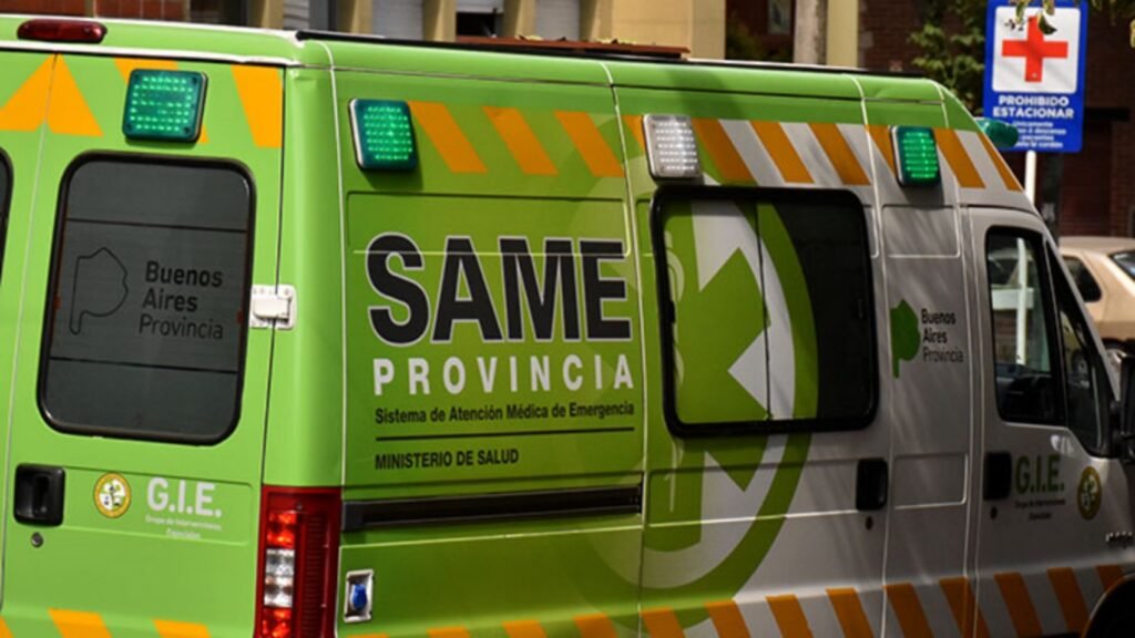 Pudo ser una tragedia: Un vehículo impactó contra un animal suelto en Ruta 50