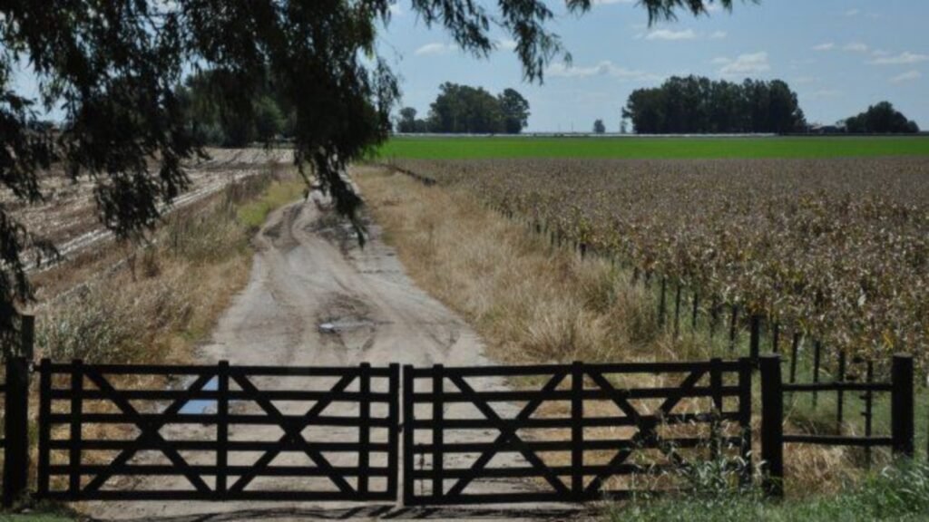 Empleo: Buscan matrimonio para trabajos rurales