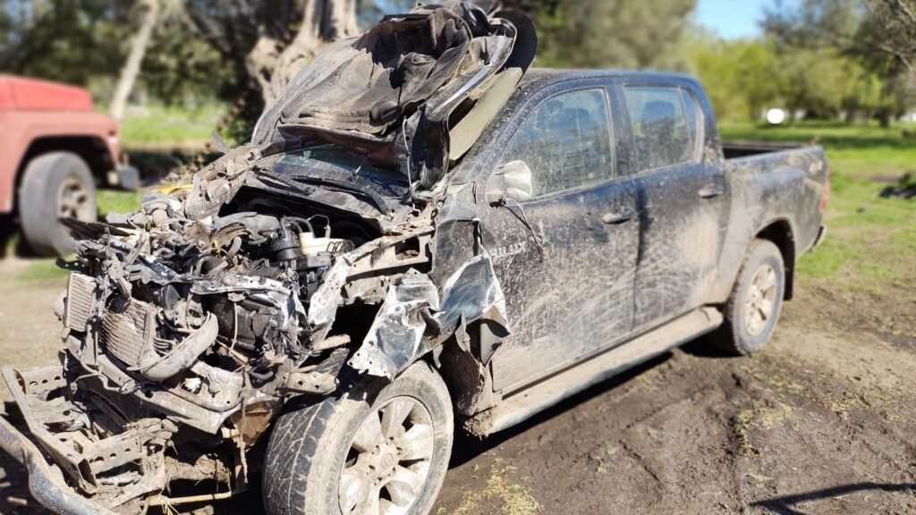 Por segunda vez: Una camioneta impactó contra un animal suelto en Ruta 50
