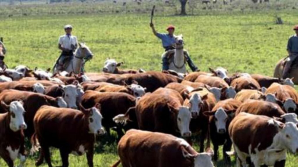 Empleo: Buscan peón rural