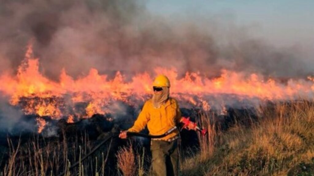 Incendios en Corrientes: hay más de 500 mil hectáreas afectadas y evacuan viviendas