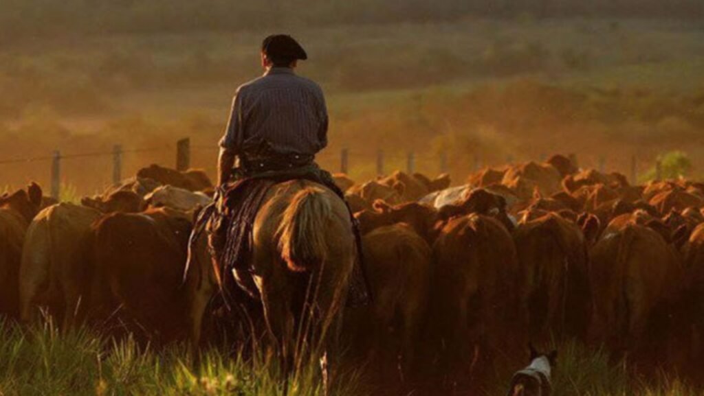 Buscan trabajador para cumplir tareas en un campo de Ayacucho