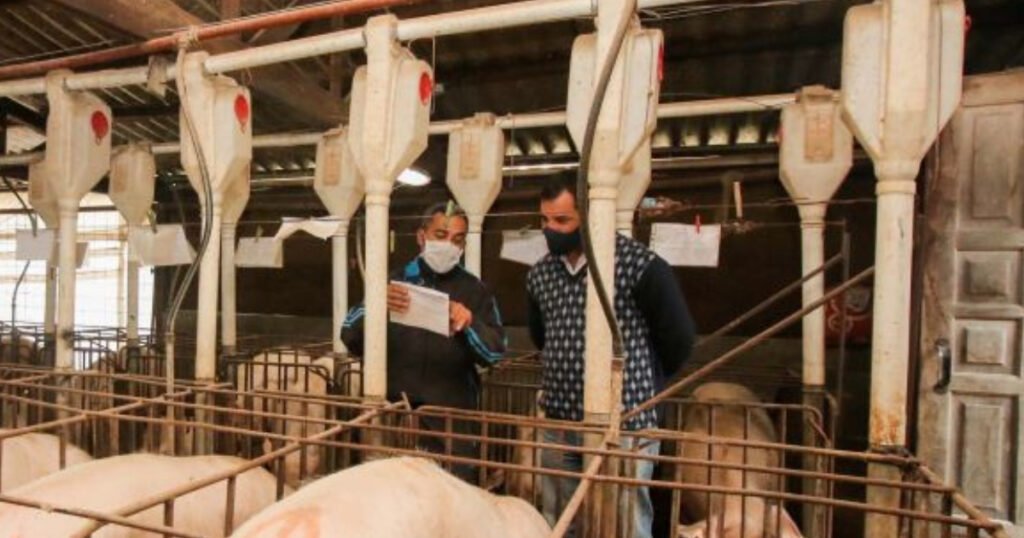 EMPLEO: Buscan operarios para desempeñarse en granjas