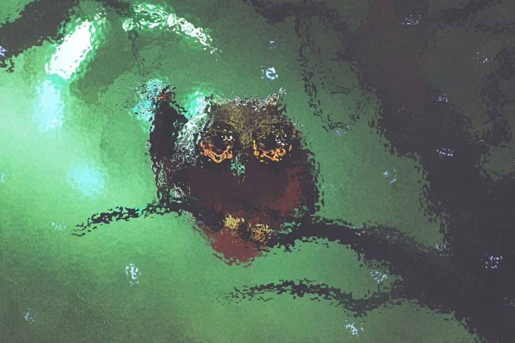 The Owlin Race in DnD 5e: Strixhaven’s Newest Additions