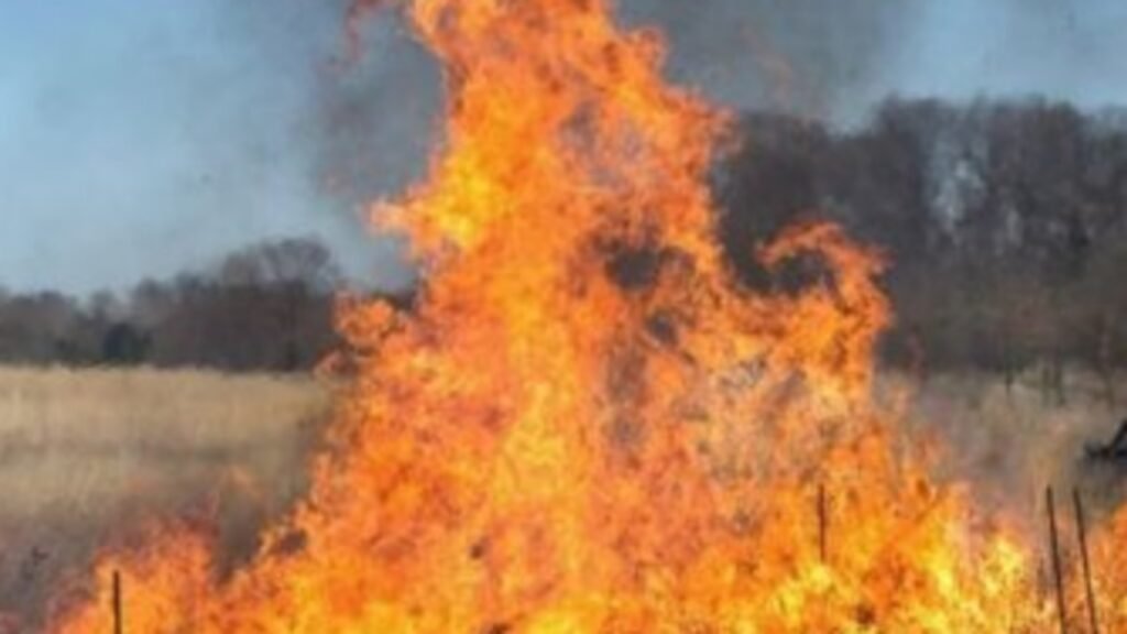 Bomberos fue convocado a un incendio pero no fue necesaria su intervención